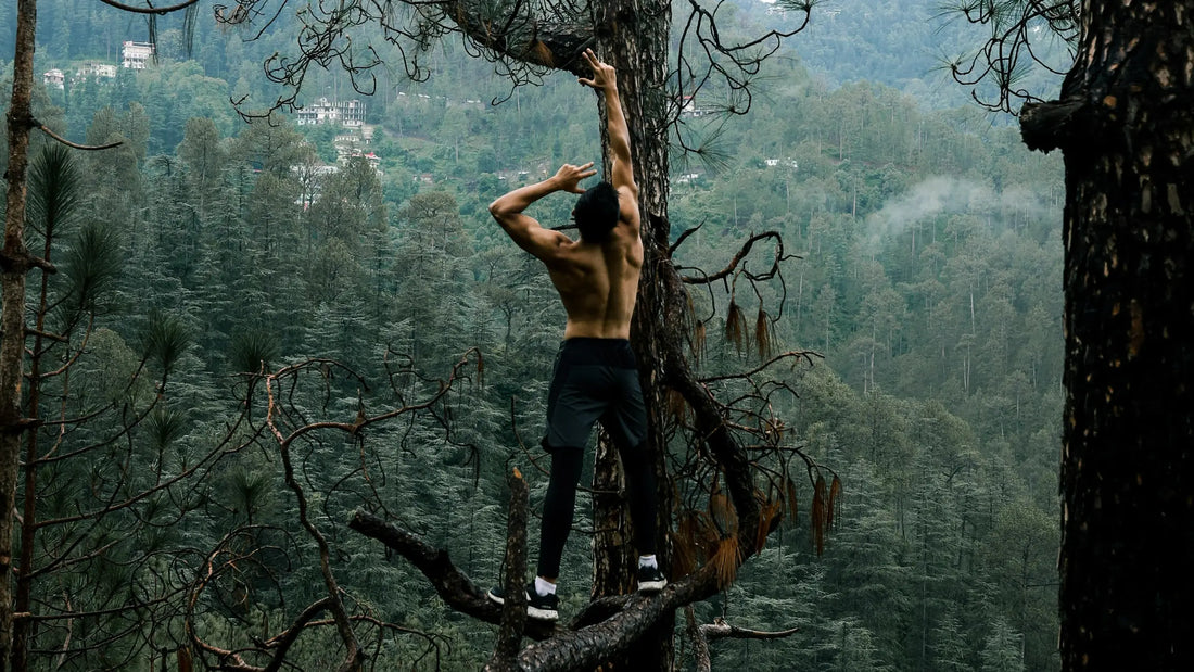 Das neue männliche Statussymbol: Hohes Testosteron, auf natürlichem Wege erreicht.
